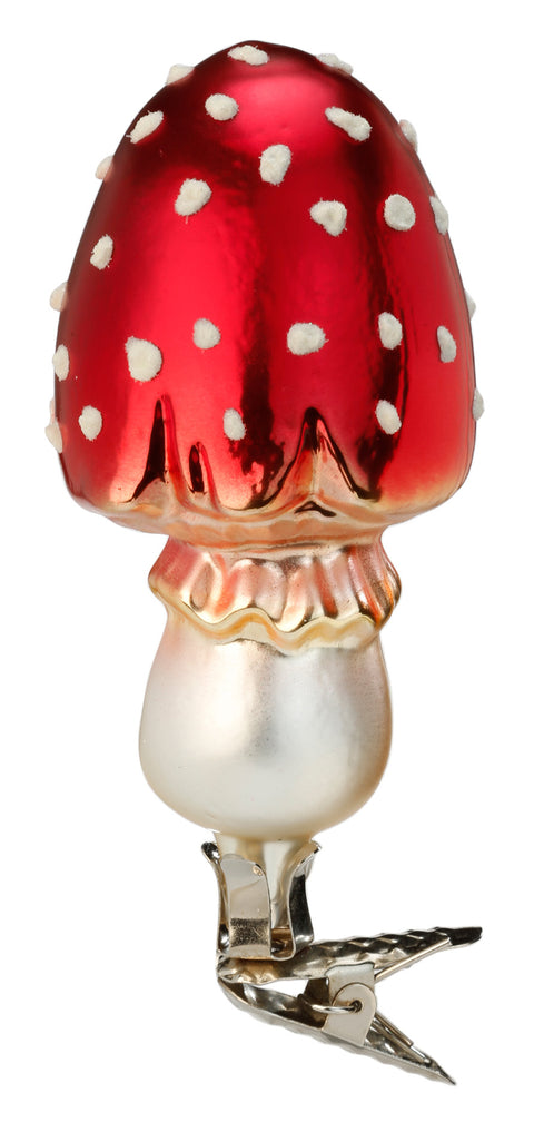 Giftiger Geselle, 9,5 cm