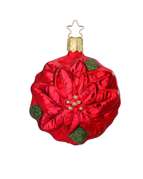 Weihnachtsstern, 8 cm