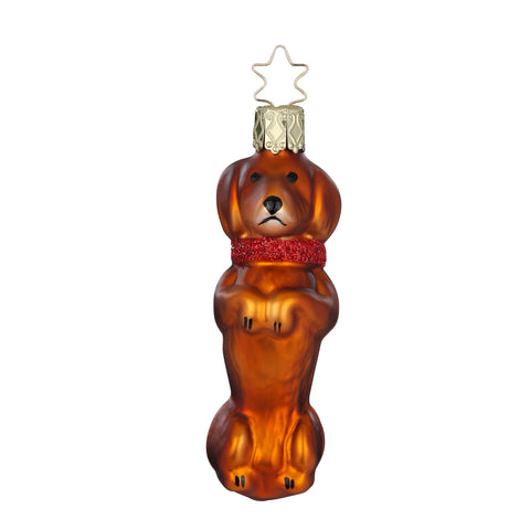 Dackel aus Glas – Christbaumschmuck