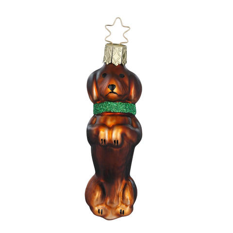 Dackel aus Glas – Christbaumschmuck