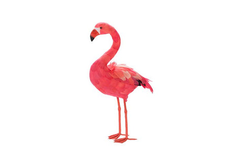 Flamingo stehend pink