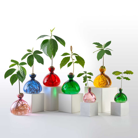 Ilex Studio Vase Eiche