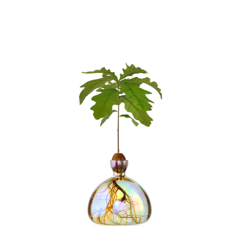 Ilex Studio Vase Eiche