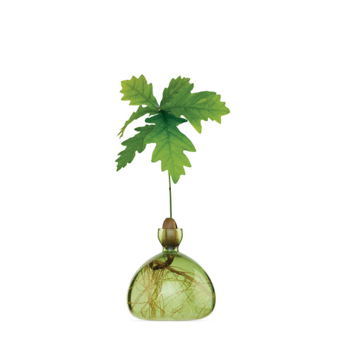 Ilex Studio Vase Eiche