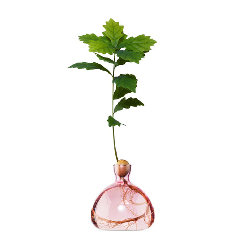 Ilex Studio Vase Eiche